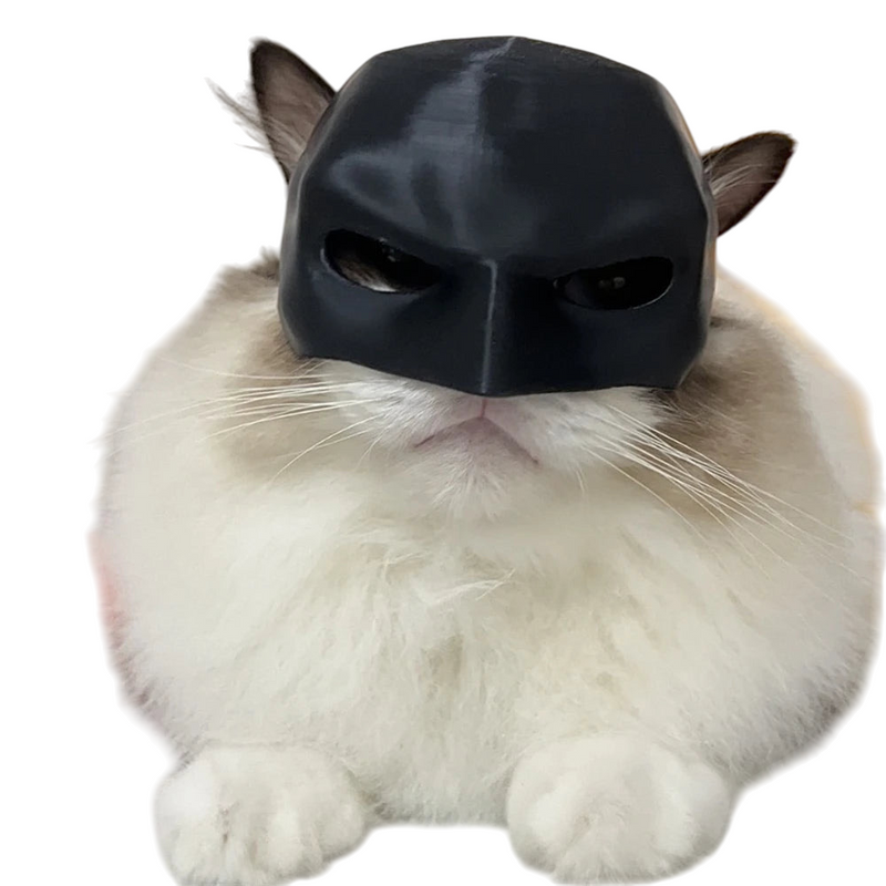 Máscara Do Batman Para Gatos