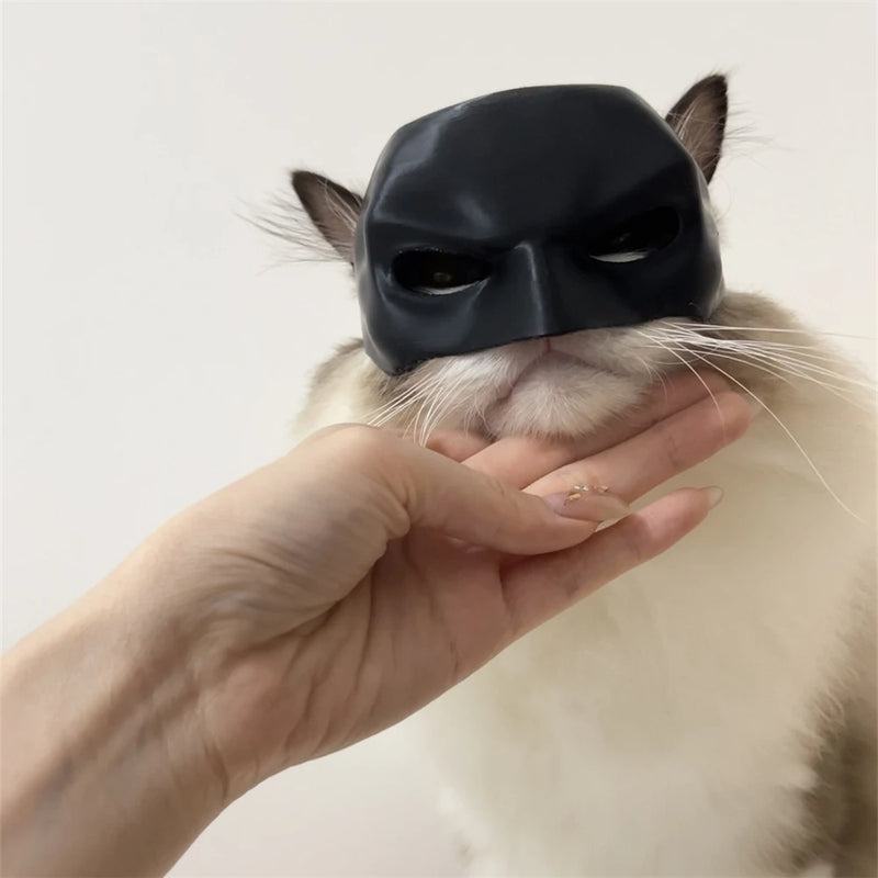 Máscara Do Batman Para Gatos